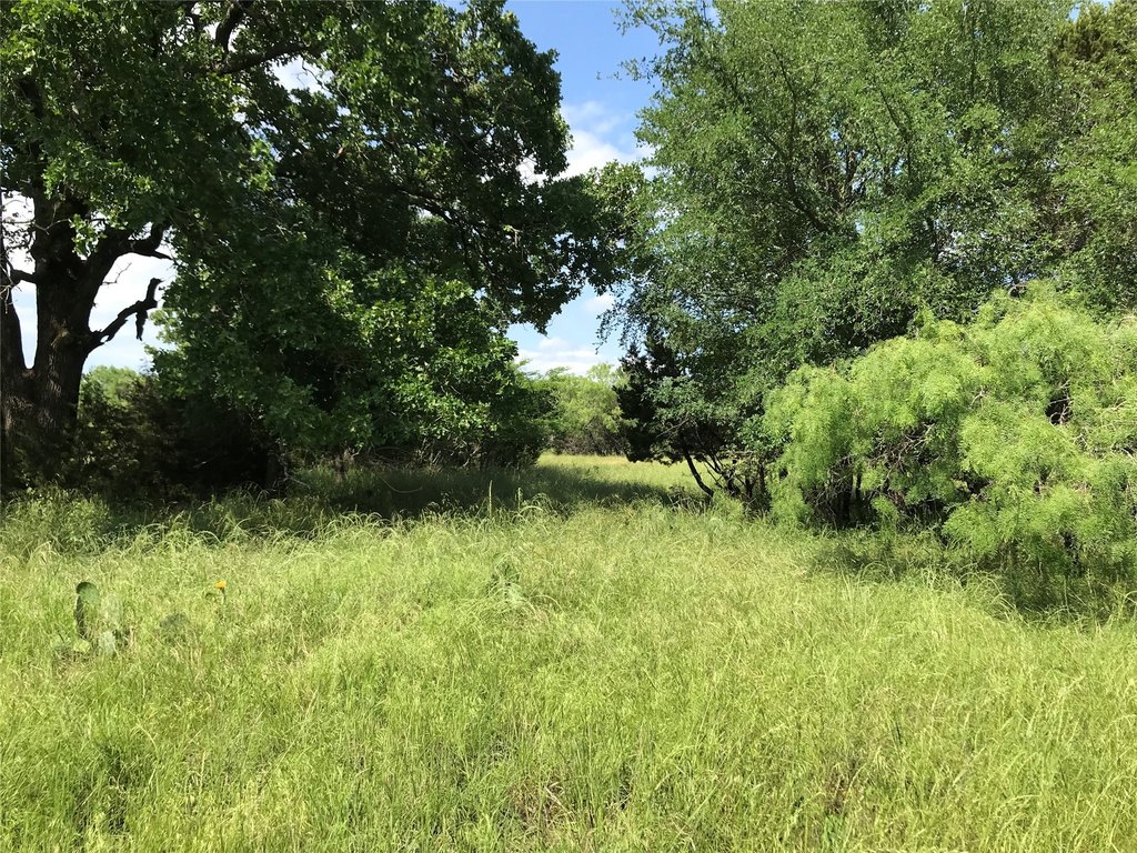 Picture 20