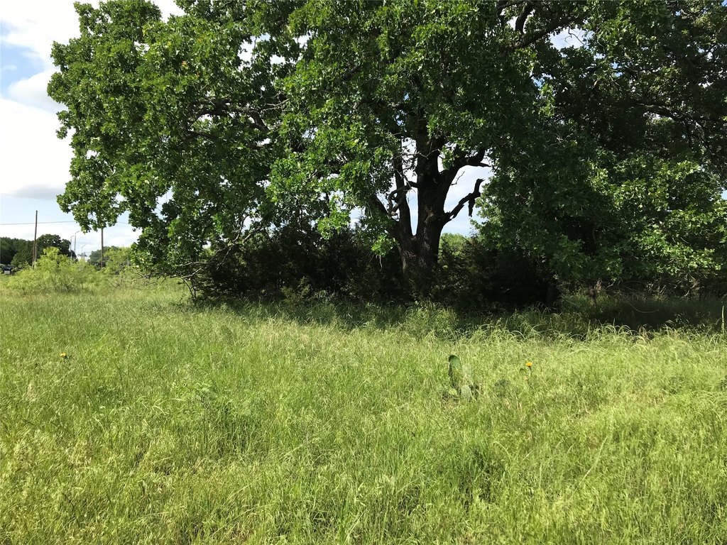 Picture 21