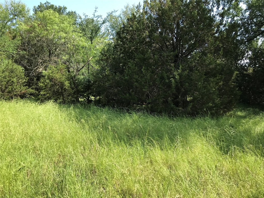 Picture 34