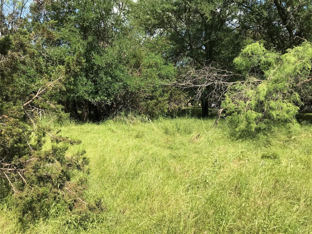 Picture 24