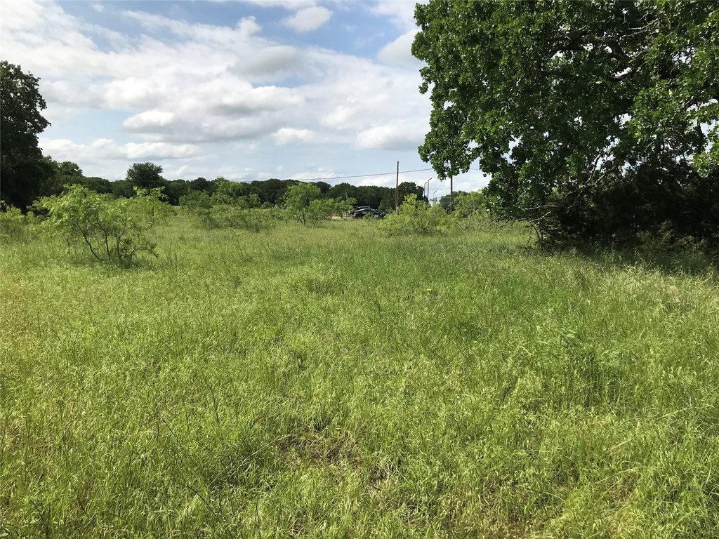 Picture 23