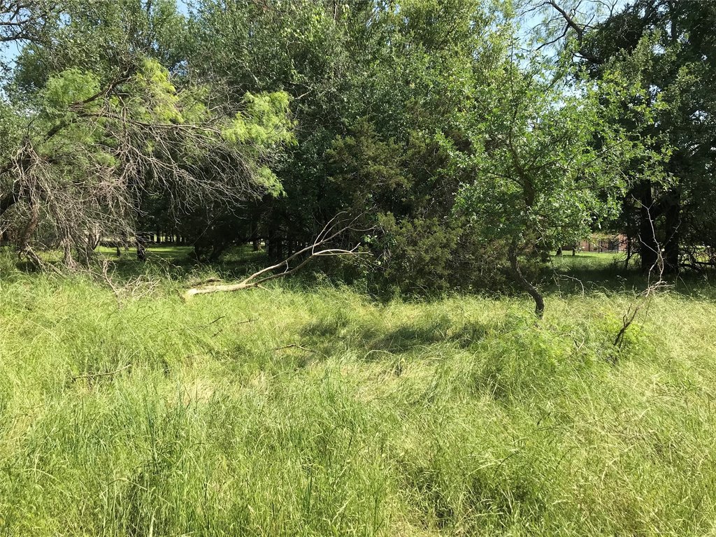 Picture 28