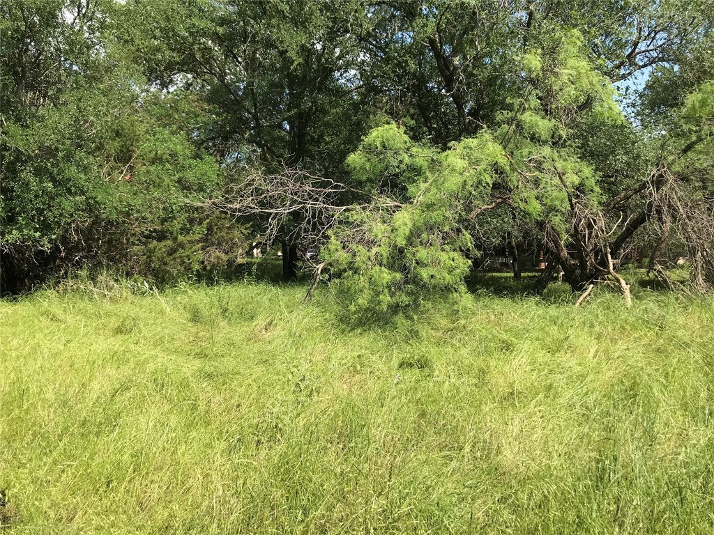 Picture 25