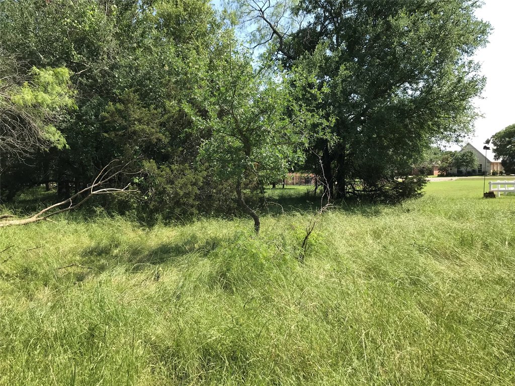 Picture 29