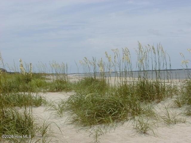 Picture 14