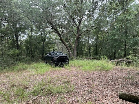 Holt, FL 4.77 Acre Land