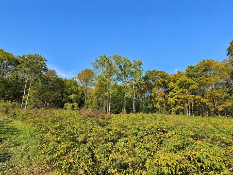 Lots & Acreage, Black Earth, WI
