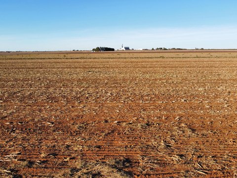 Land, Ropesville, TX