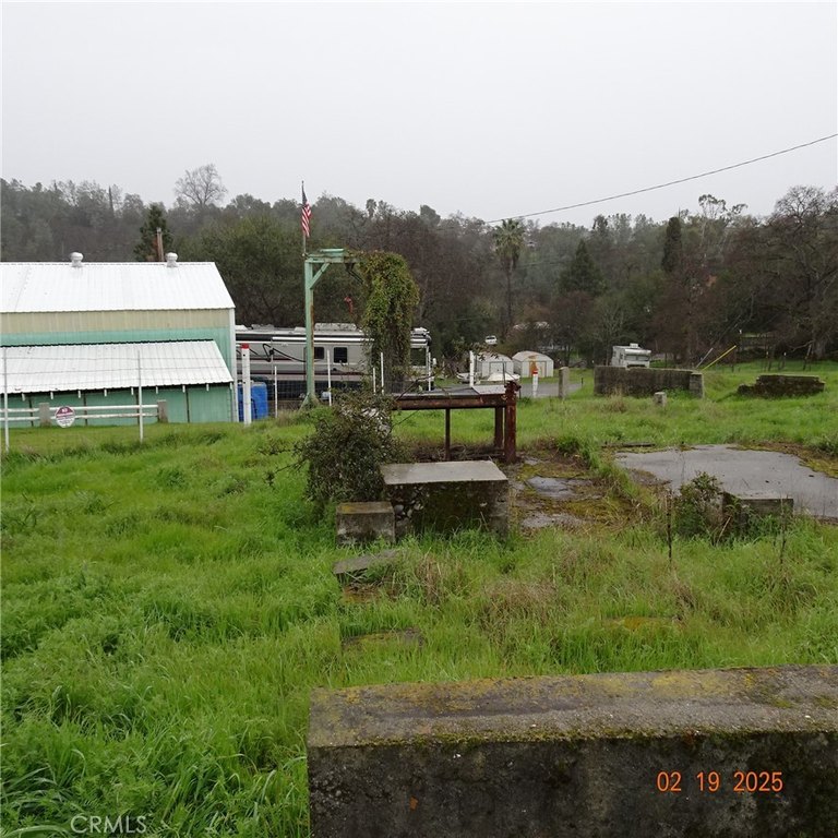 Picture 7