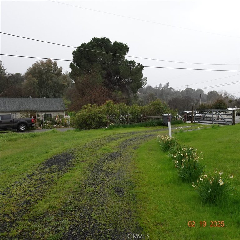 Picture 11