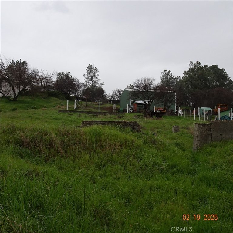 Picture 3