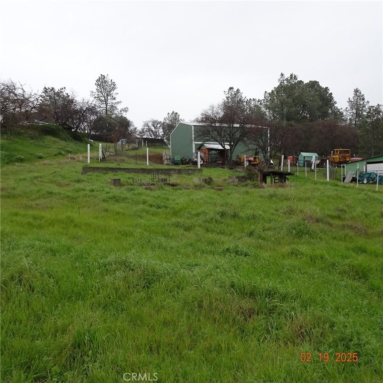 Picture 2