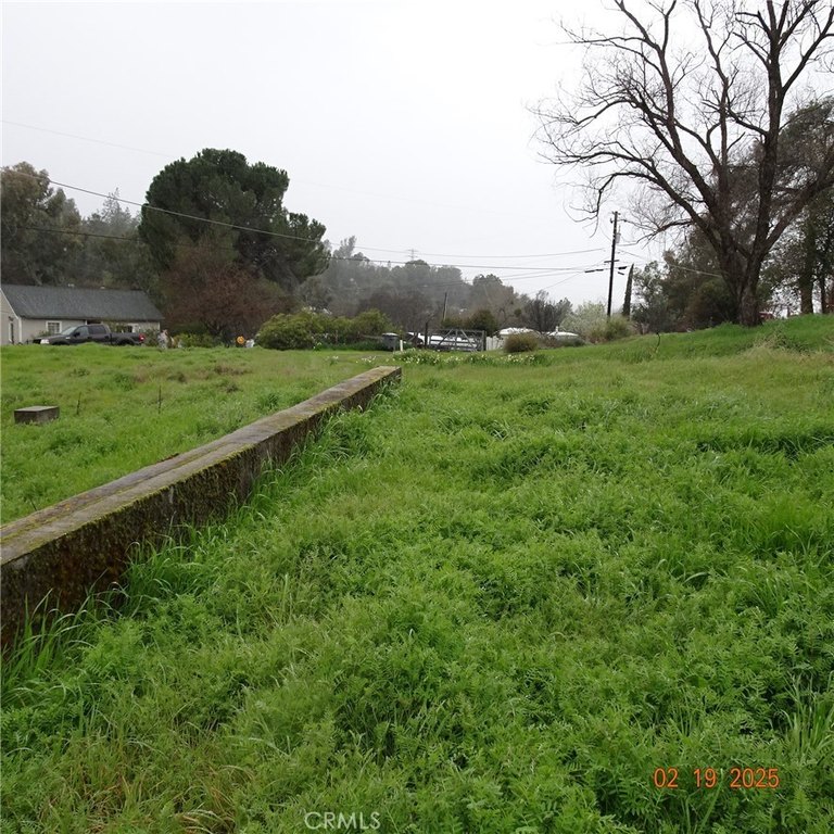 Picture 8