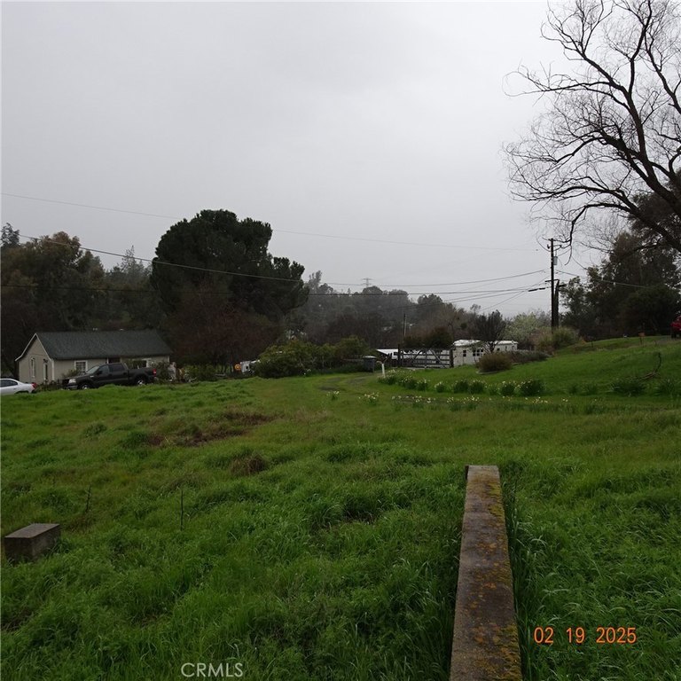 Picture 9