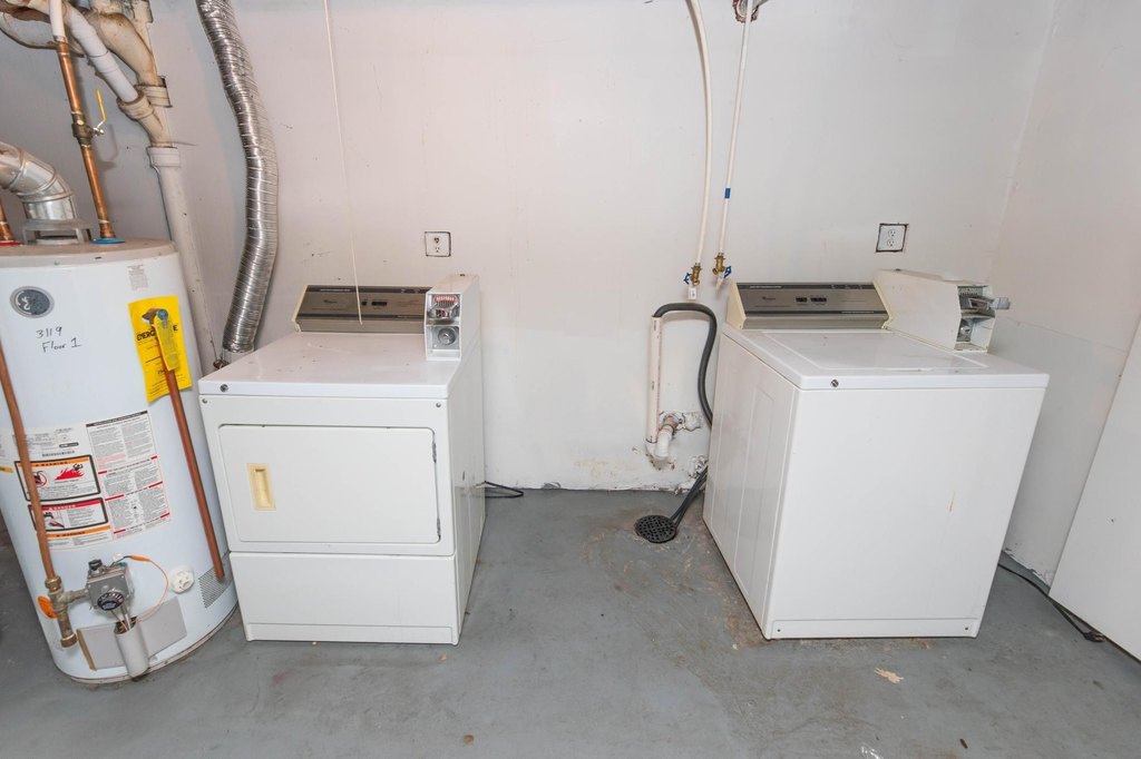 Picture 31