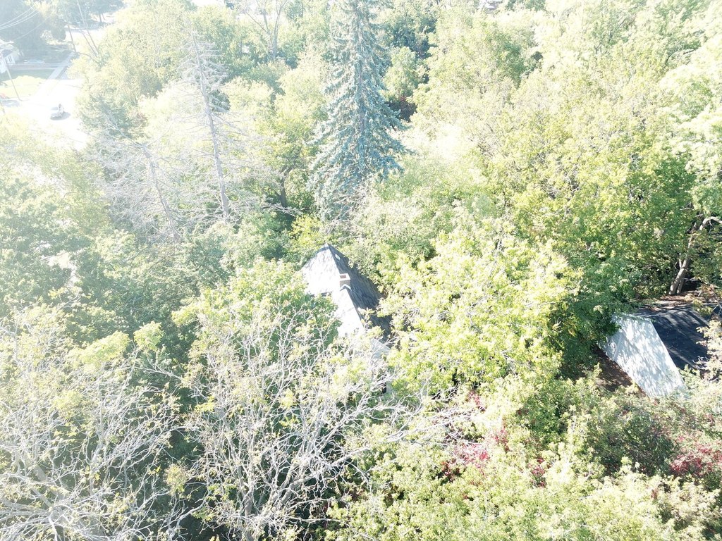 Picture 3