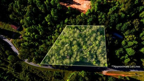 LAND - Warne, NC