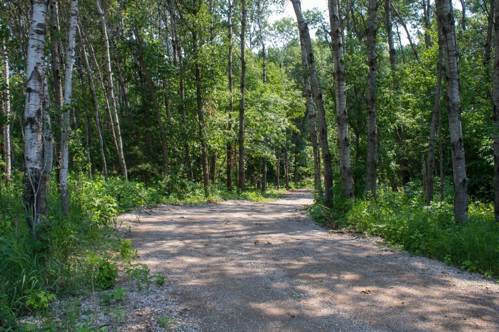 Picture 3