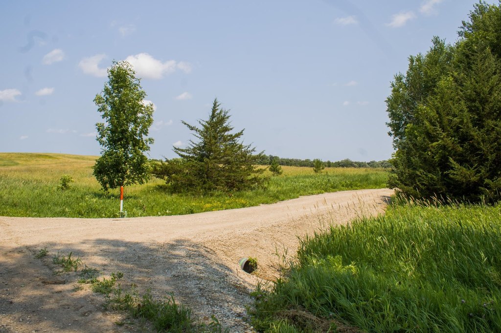 Picture 4