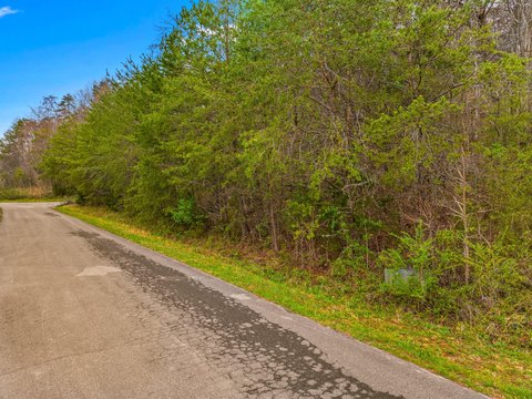Residential Land in Newport, TN