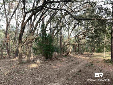 LAND - Fairhope, AL