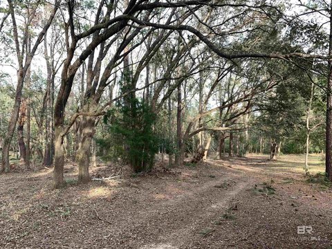 LAND - Fairhope, AL