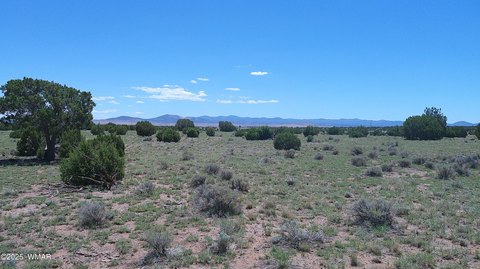 Concho Valley Land Parcel