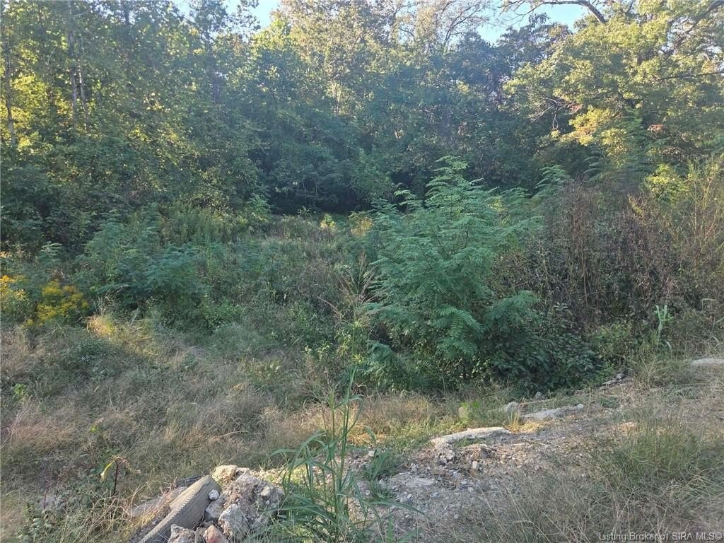 Picture 3