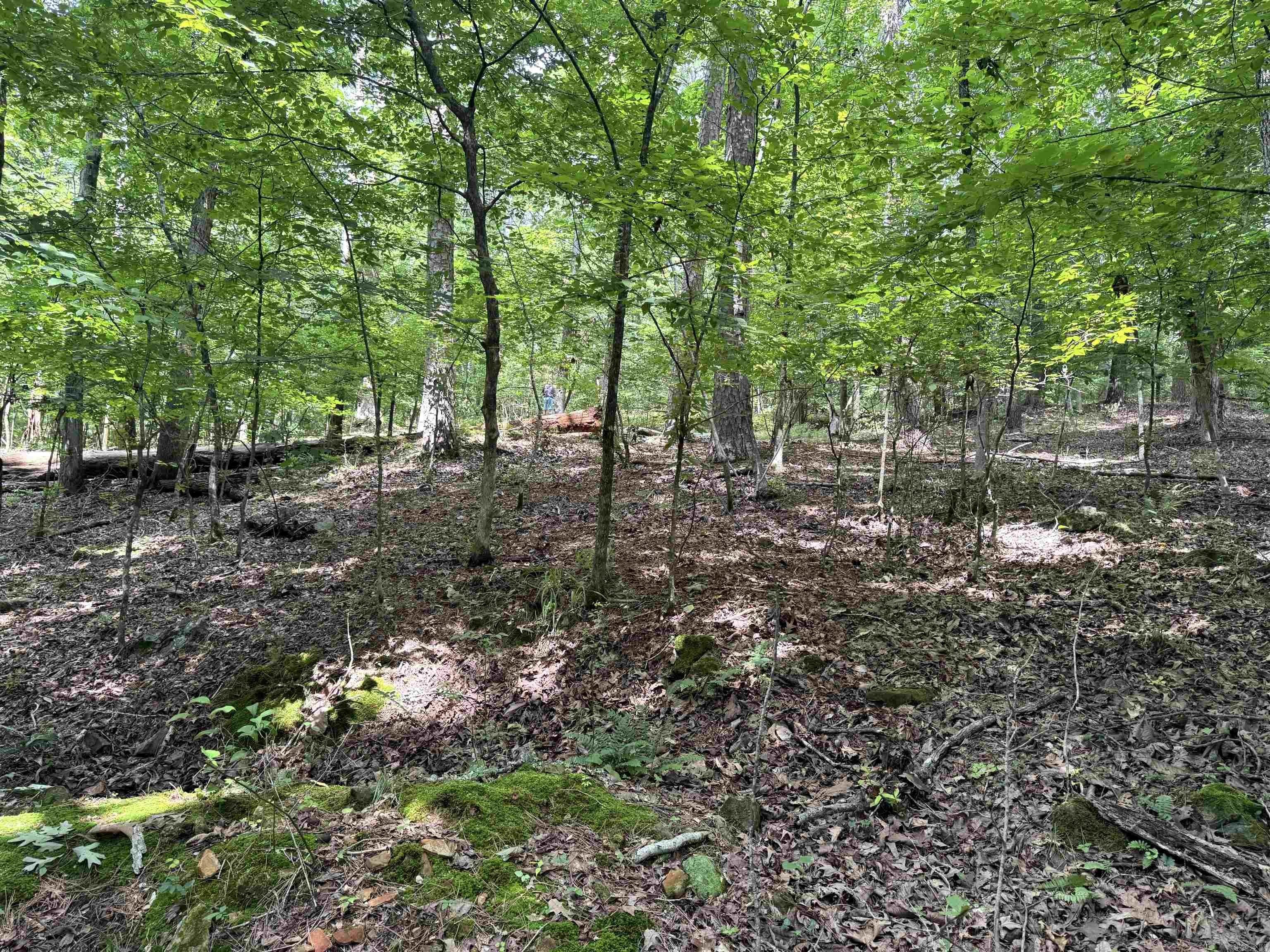 Lakefront Land in Hot Springs