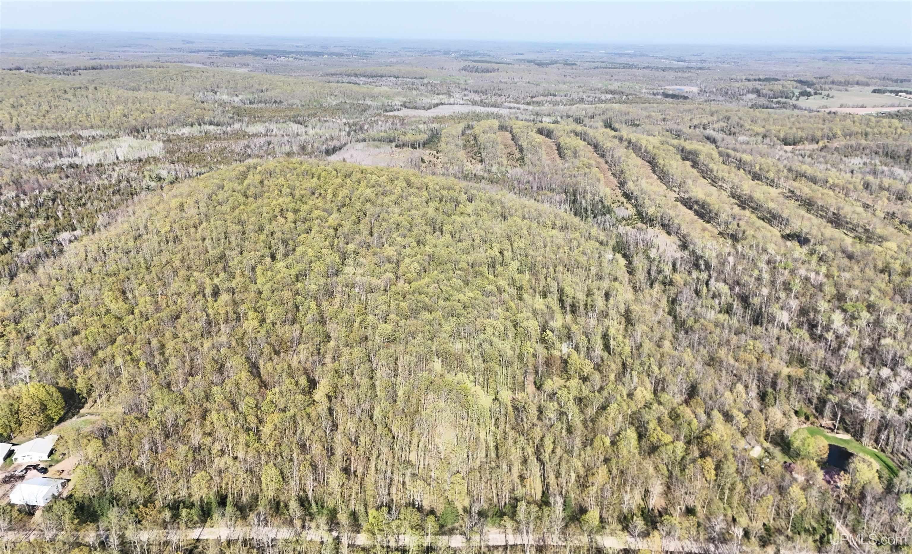 53.44 Acres Wooded Land