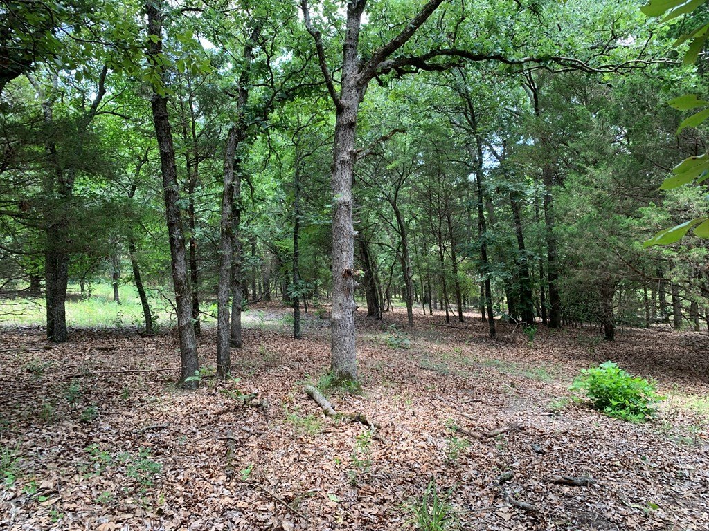 Picture 14