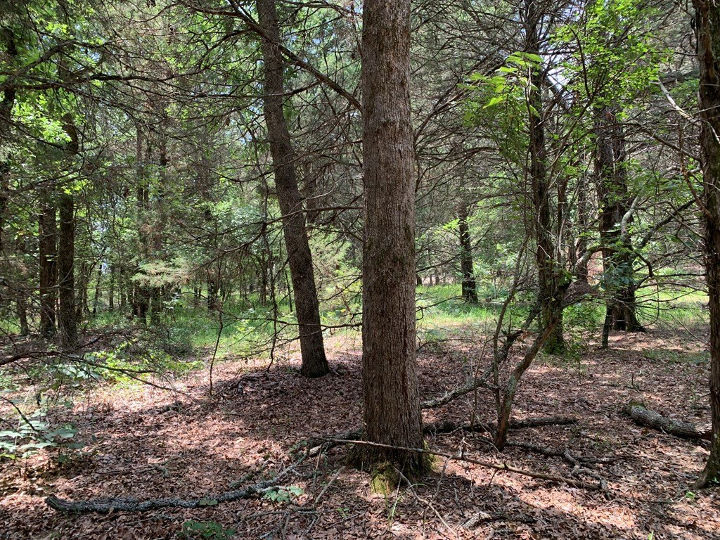 Picture 21