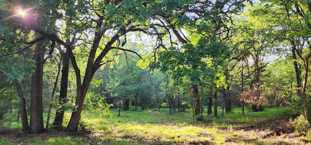 Picture 9
