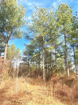 LAND - Broken Bow, OK