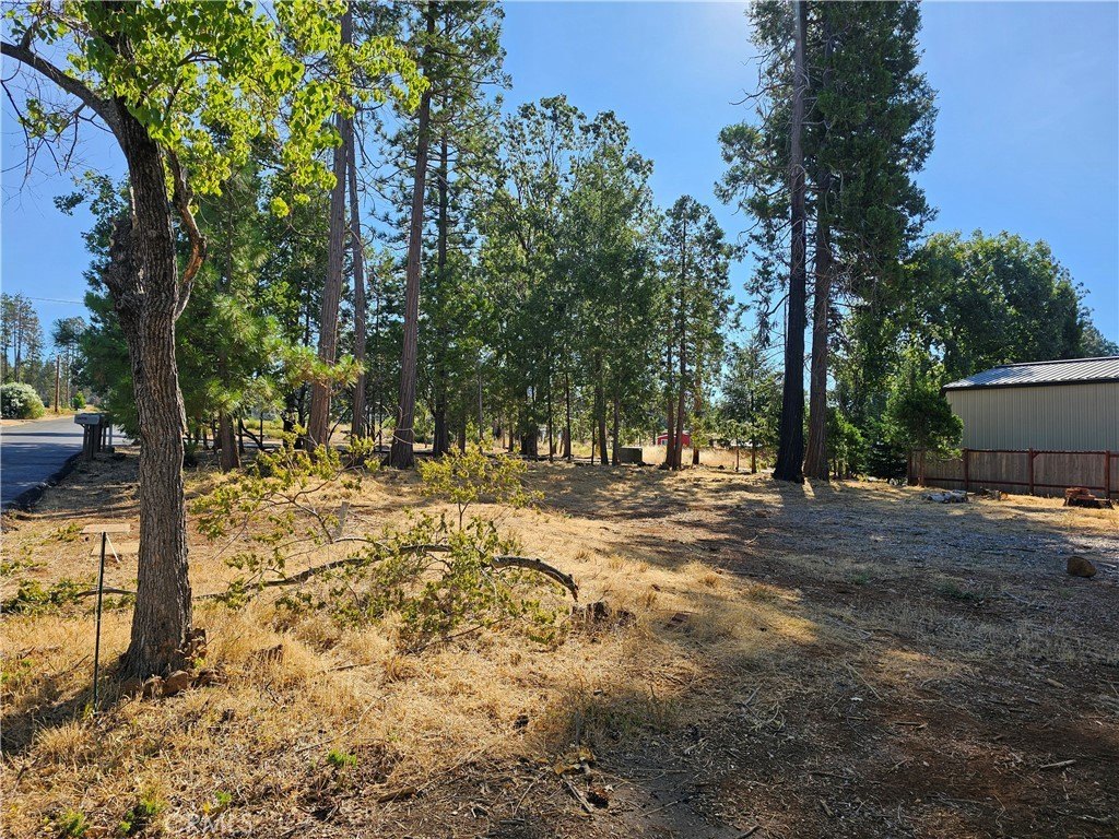 Picture 9