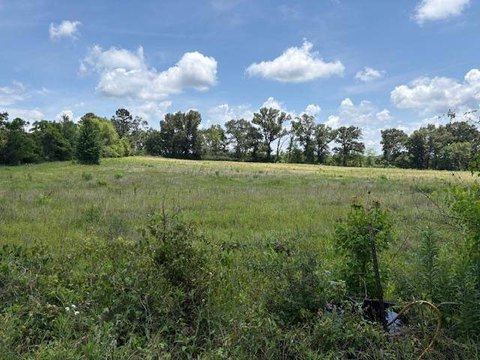 Vacant Land - Florien, LA