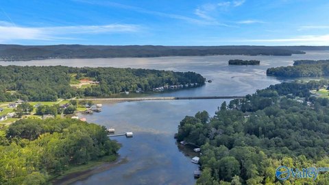 Lake Guntersville Shoreline Property