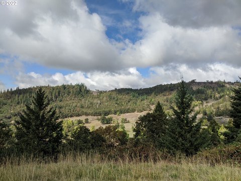 Expansive Land in Roseburg, Oregon
