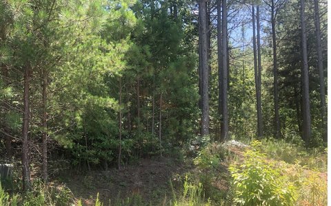 Blairsville, GA Vacant Lot