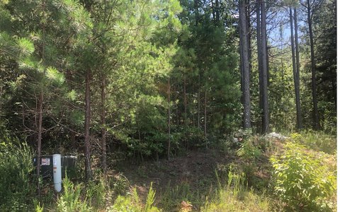 Blairsville, GA Vacant Lot