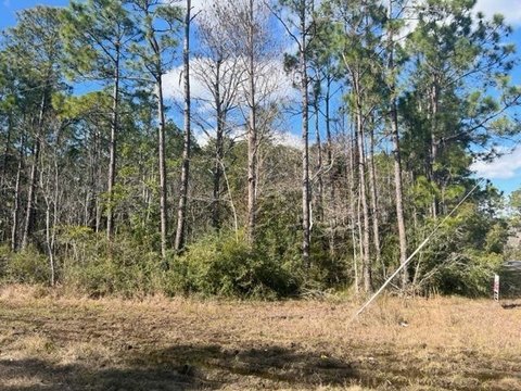 Milton, FL Interior Lot