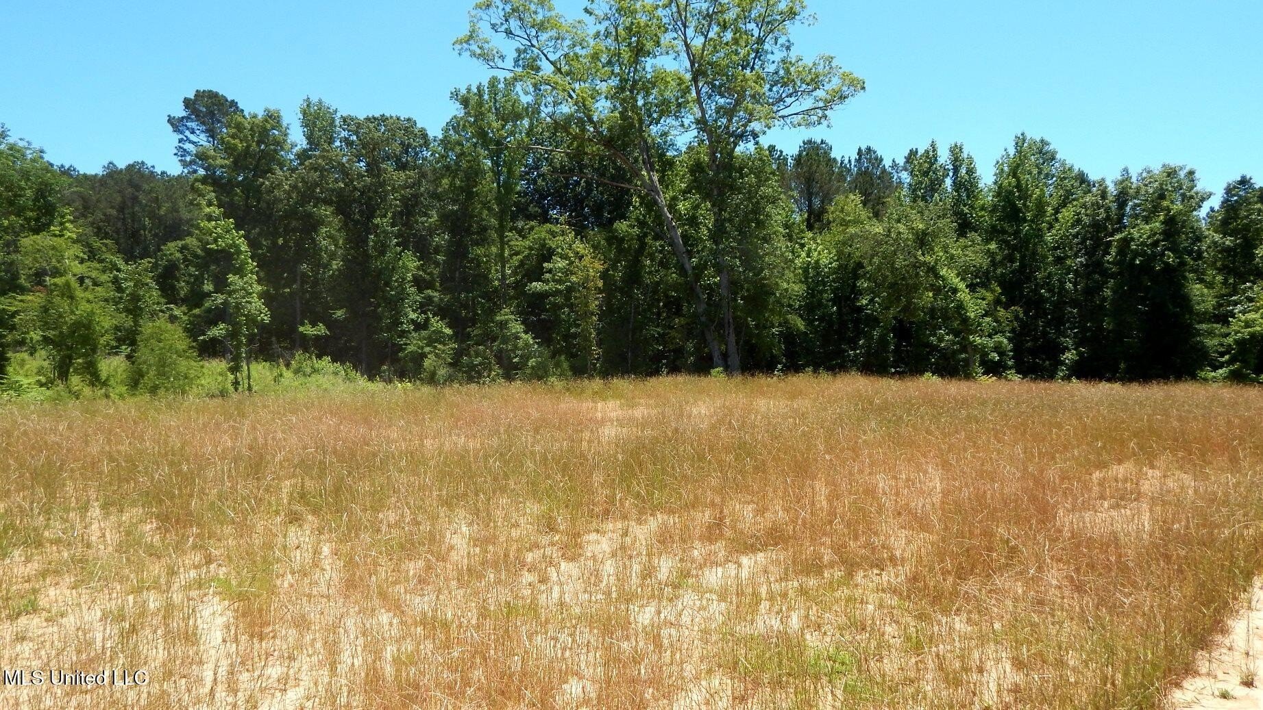 Grenada Lake Area Land