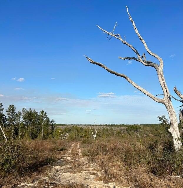 Ponce De Leon Land Parcel