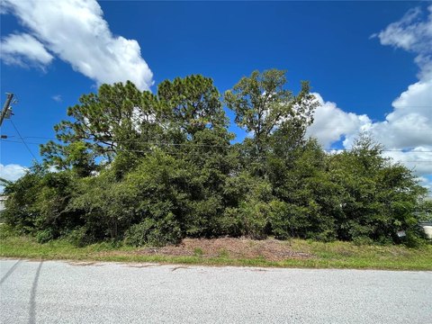 Residential Lot in Summerfield, FL