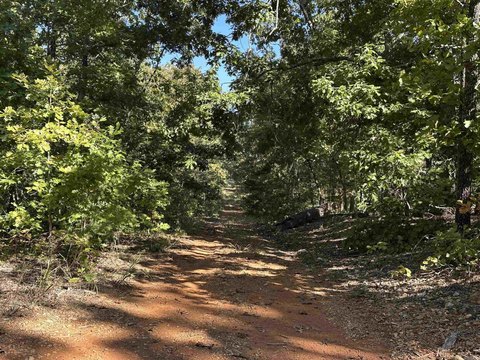 Horseshoe Bend Residential Lots