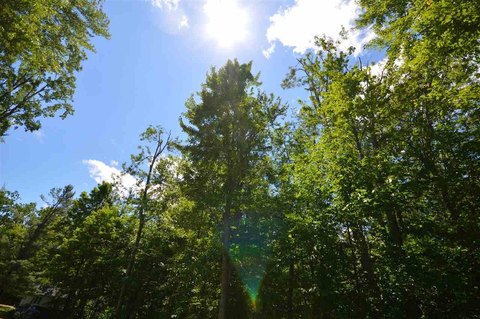 LAND - Petoskey, MI