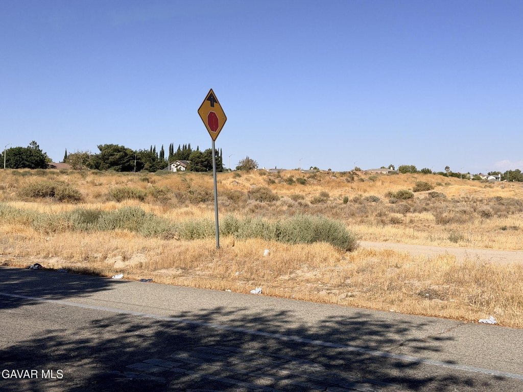 Picture 24