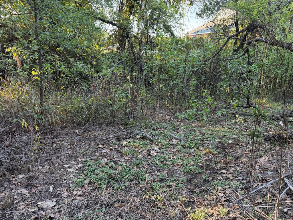 Picture 14