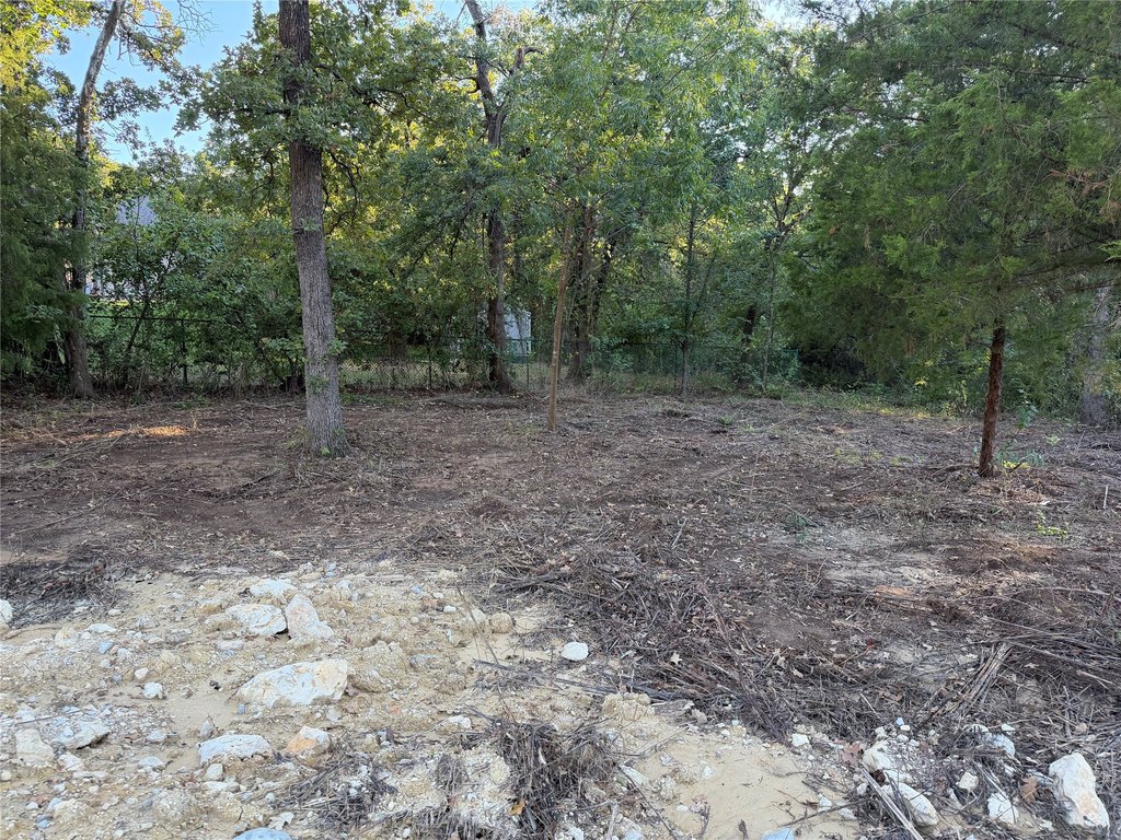 Picture 16