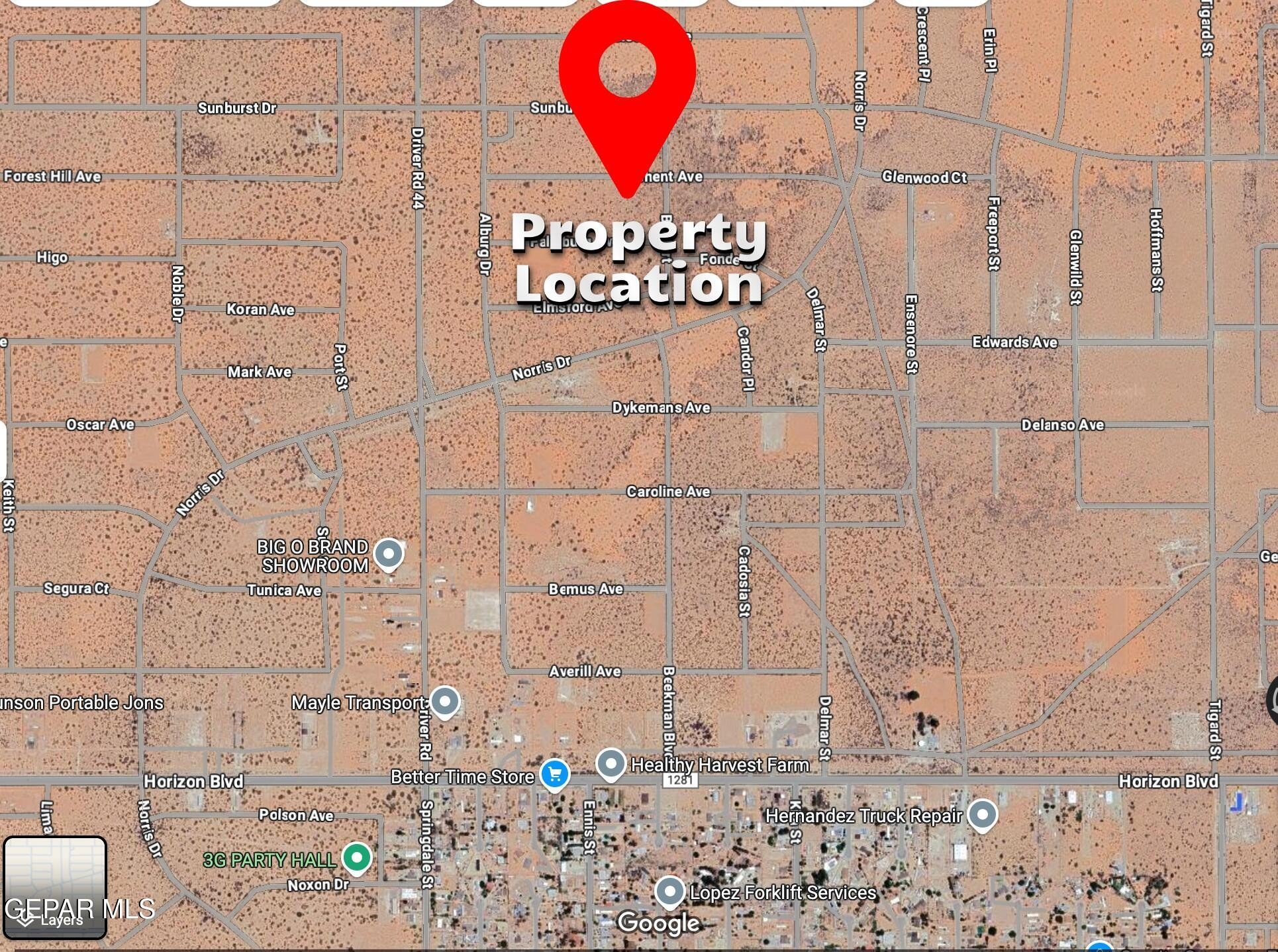 Horizon City Land For Sale